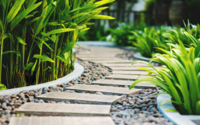 تعرف على طرق تنسيق الحدائق الكويت