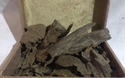 عود كلمنتان أجود أنواع العود