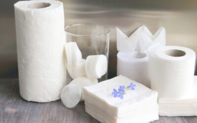 انتاج المناديل الورقية وتصنيعها