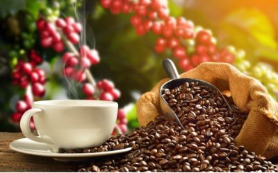 أفضل المتاجر القهوة في السعودية دلل مزاجك بفنجان قهوة