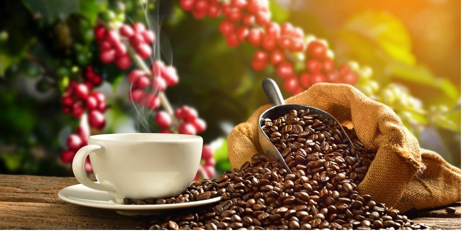 أفضل المتاجر القهوة في السعودية دلل مزاجك بفنجان قهوة