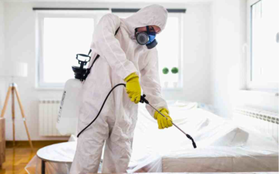 شركة مكافحة حشرات بالرياض –اركان المملكة 0555736271