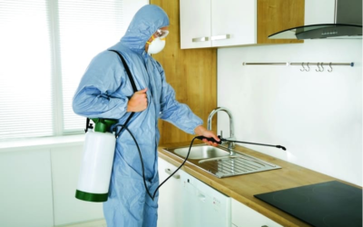 شركة مكافحة حشرات بحائل أهم الخدمات والمميزات – الممتاز المثالية