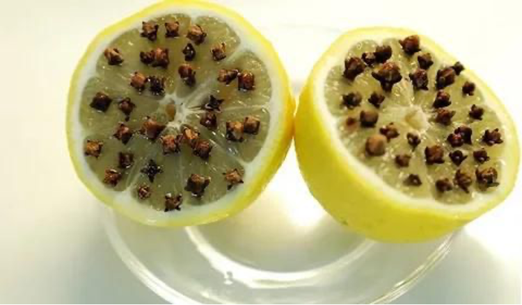 مكافحة الذباب باستخدام الليمون والقرنفل
