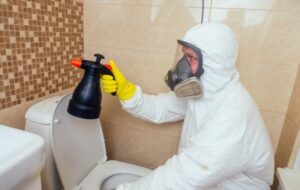 شركة مكافحة حشرات بالرياض