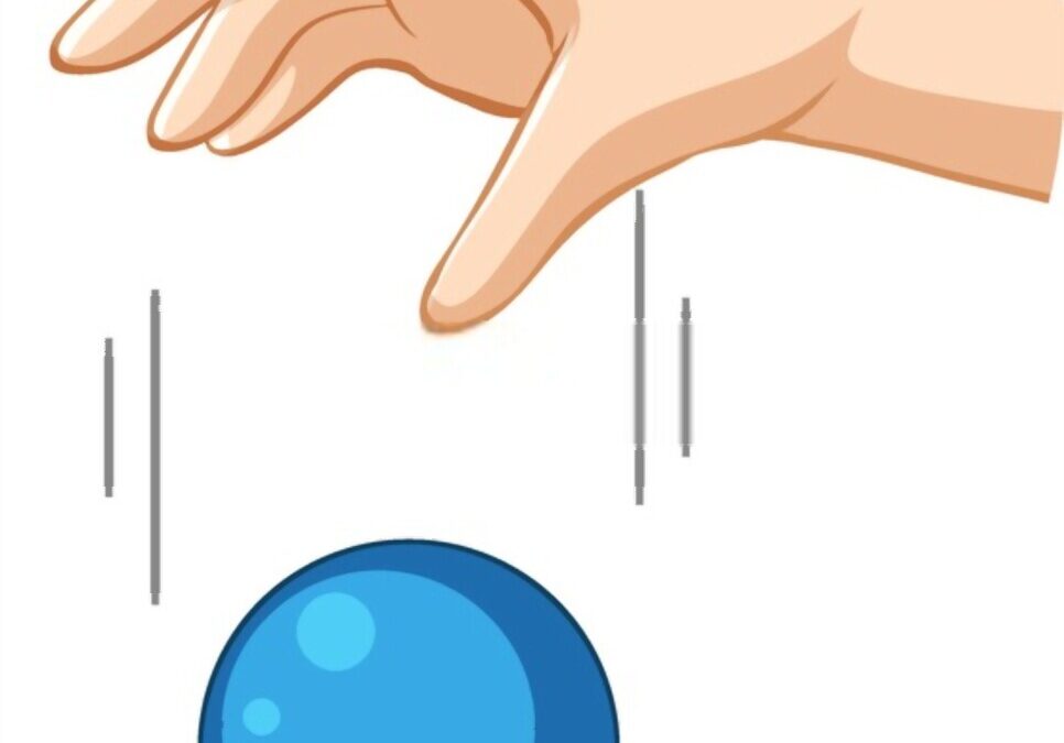 القوة الوحيدة التي تؤثر في الأجسام أثناء السقوط الحر