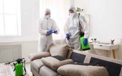 شركة خدمات تنظيف في الرياض