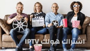 لماذا قد يكون اشتراك هولك الخيار الأفضل مقارنة بالبدائل الأخرى؟