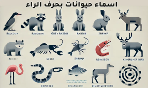 اسماء حيوانات بحرف الراء