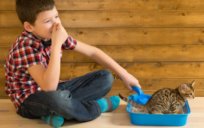 كيف تتخلص من مشكلة تنظيف رمل القطط يدويًا والرائحة الكريهة