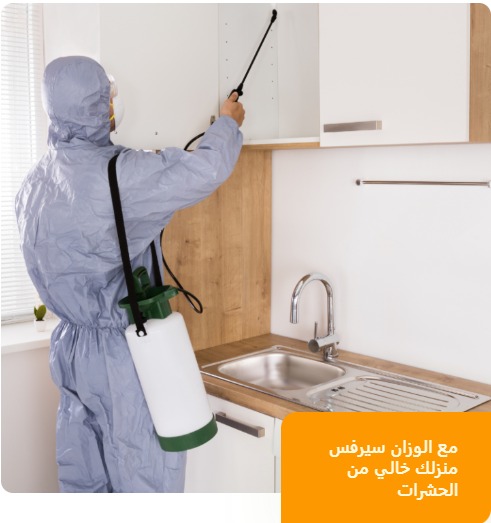 طريقة مكافحة الفئران في المنزل