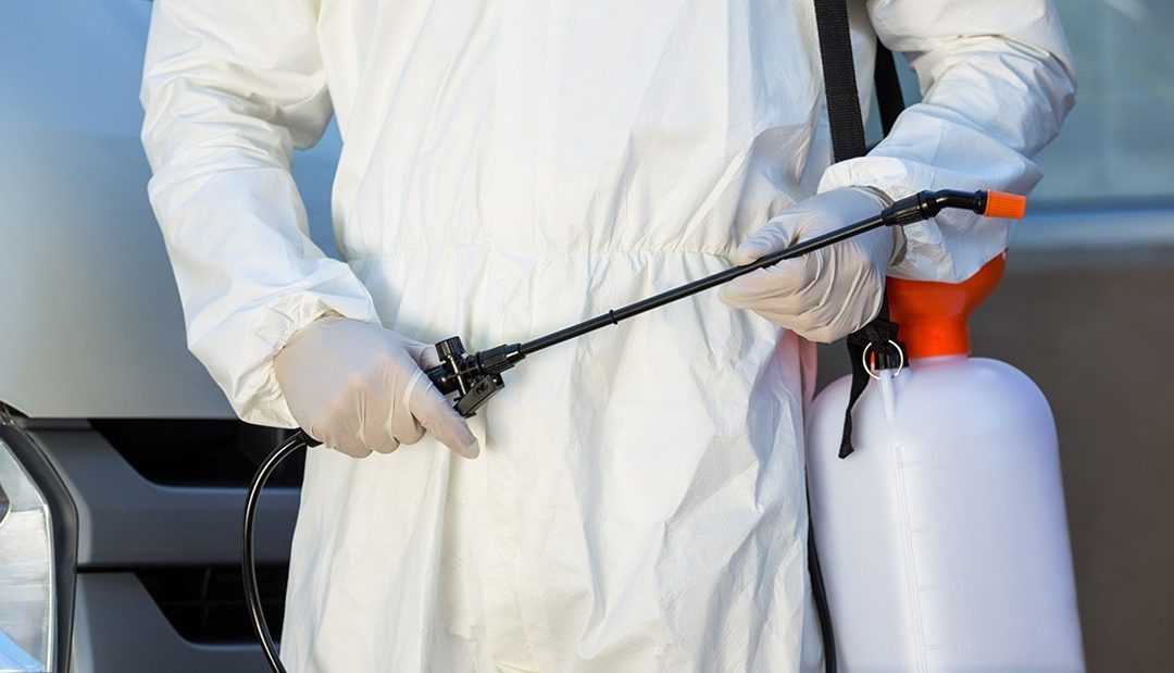 أهمية مكافحة الحشرات في المنازل والأماكن العامة بالرياض