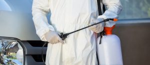 أهمية مكافحة الحشرات في المنازل والأماكن العامة بالرياض