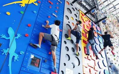 رياضة تسلق الجدران: من هواية إلى رياضة احترافية