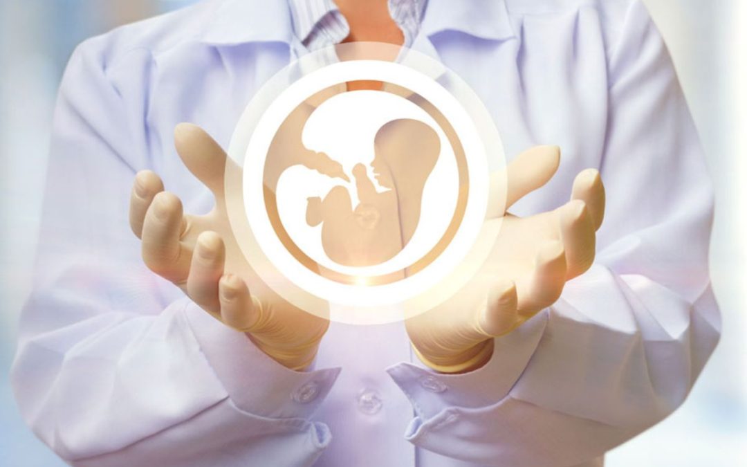 خطوات اختيار أفضل مركز لأطفال الأنابيب في الإمارات: ما الذي يجب أن تعرفه؟