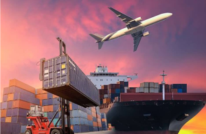 دور و أهمية شركات الشحن الدولى